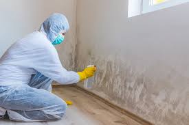 Environmental Consulting for Mold Prevention in East Uniontown, PA